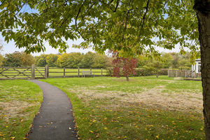 Photo 23- click for photo gallery